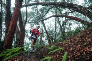 BIB: 
                            <button type="button" onclick="openModal(26343926)" class="btn btn-primary btn-sm float-right btn-popup" data-toggle="modal" data-target=".modal-high-quality">
                        <i class="fas fa-shopping-cart"></i> Add to Cart
                    </button>
                                            <button type="button" onclick="isThisMe(26343926, true)" class="btn btn-success btn-sm float-right btn-popup btn-isme hidden" data-toggle="tooltip" data-placement="bottom" title="นี่คือรูปของคุณใช่ไหม คลิกที่นี่เพื่อเอาเข้าอัลบั้ม">
                        <i class="fas fa-plus"></i> Add to album
                    </button>
                    <button type="button" onclick="isThisMe(26343926, false)" class="btn btn-warning btn-sm float-right btn-popup btn-isnotme hidden">
                        <i class="fas fa-ban"></i> Remove from album
                    </button>